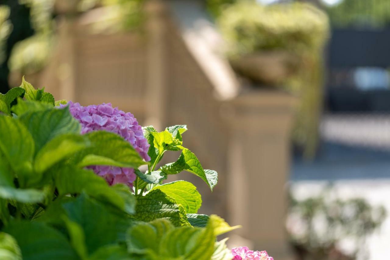 Villa Mery Καζάλε Μονφερράτο Εξωτερικό φωτογραφία